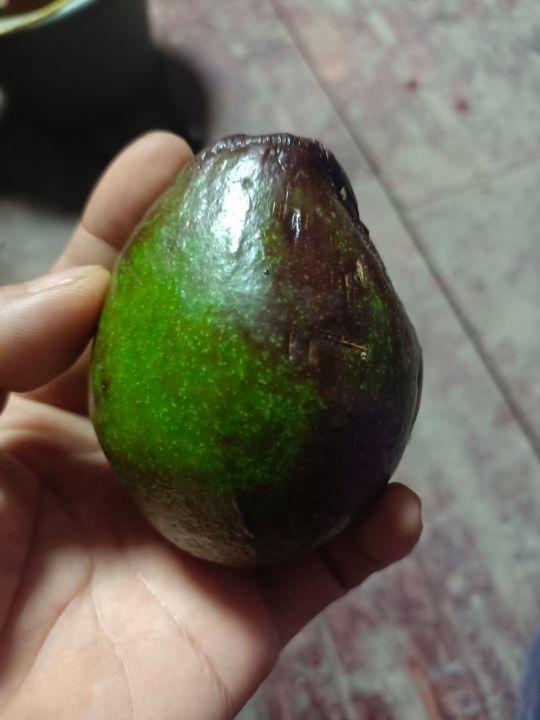 为什么很多人去印尼打工，记录印尼打工生活点滴