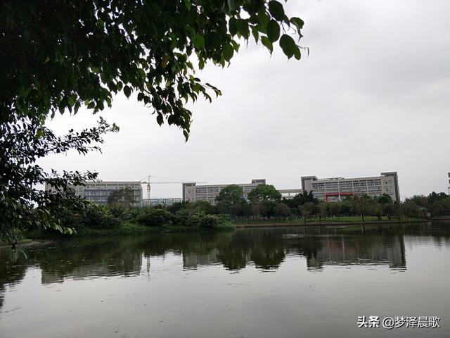 美丽大方的校园，郑州市创新实验学校金桂街校区开展“最美教室”活动