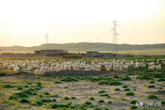 阿尔卑斯山最精华的地区，以金山之名滋养富饶与生机的阿尔泰山