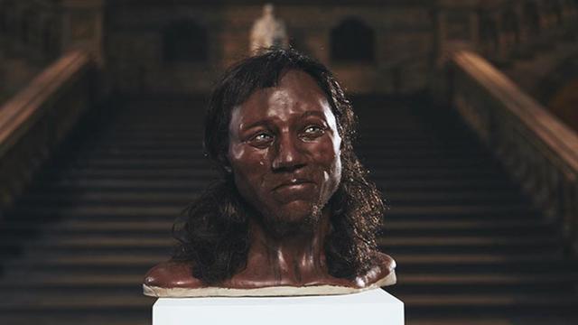 黑人白人黄种人怎么演变的，分离了7万年的黄种人