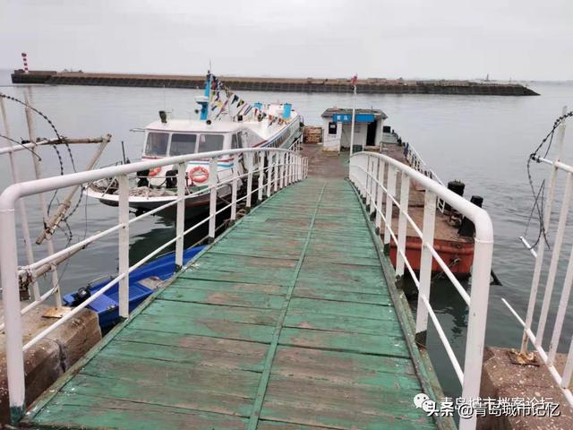 青岛轮渡是什么，一座城市的海上交通记忆
