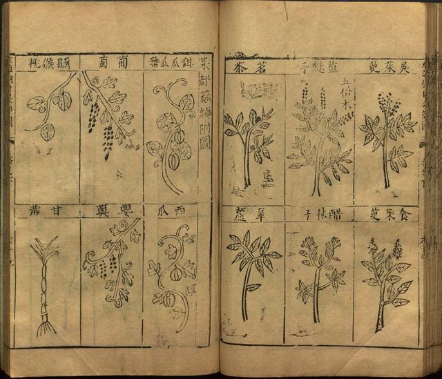 本草纲目全书带图，李时珍本草纲目全书（李时珍著《本草纲目》附图卷）