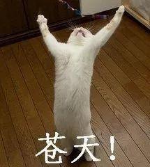 相亲真实案例聊天记录，相亲聊天记录曝光