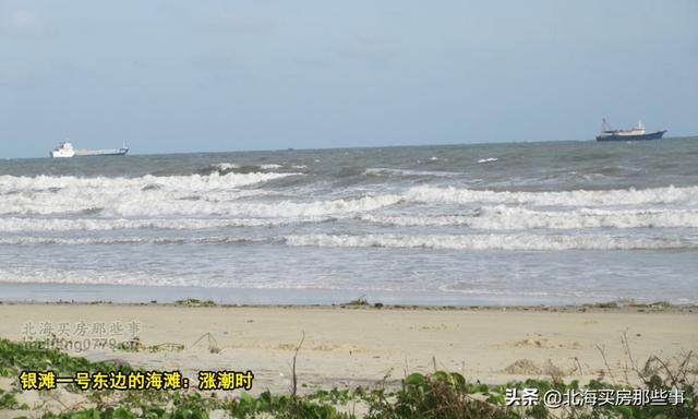 北海看潮汐表赶海，北海本地人外地人都需要的看海神器