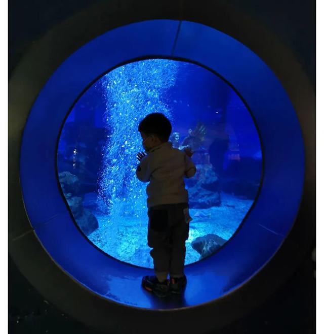 天津海昌极地海洋公园旅游攻略，带着孩子去看鱼