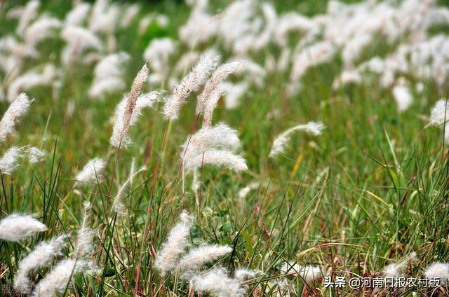 济源五一旅游景点推荐，五一去哪玩济源这几条精品旅游线路任你选