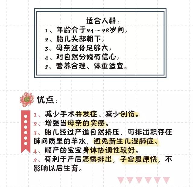 猫的生育常识和技巧，最全的入门级生育指南