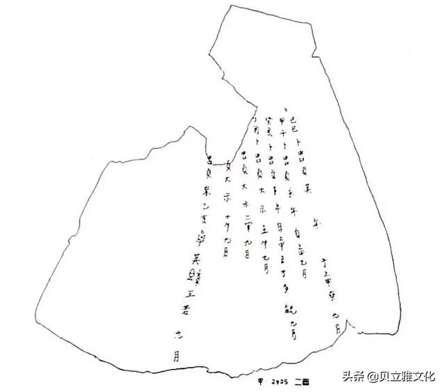 甲骨文的特点是什么，什么叫甲骨文特点（甲骨文不算书法？那算什么）