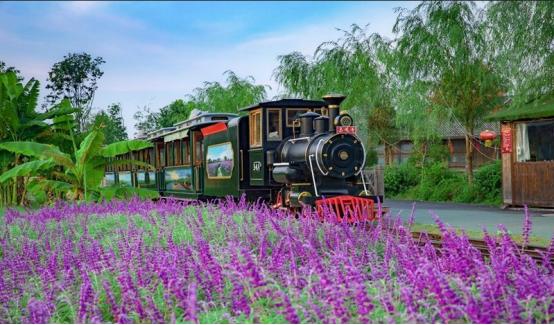 义乌旅游必去十大景点，免费的顶级旅游景点推荐