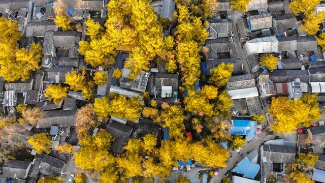 云南这条公路曾拯救国家于危难中，云南最危险的三条公路