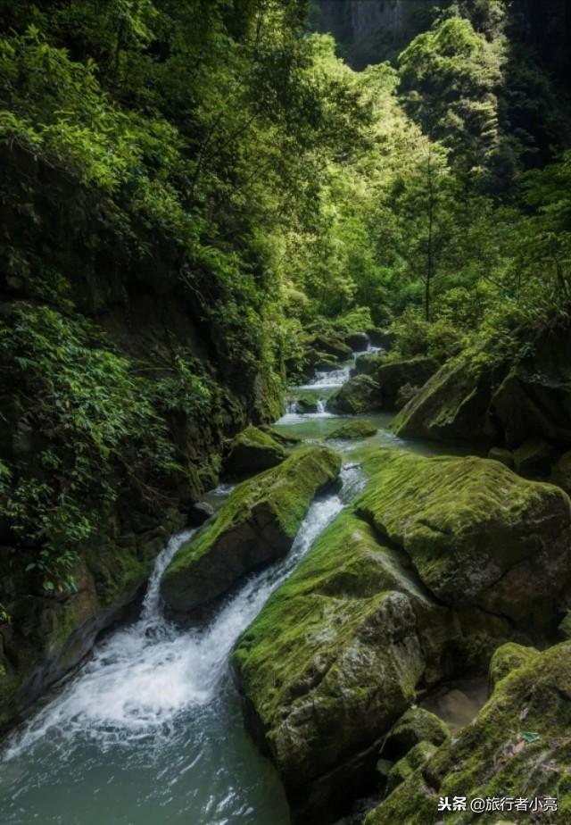 重庆旅游必去景点排名，重庆十佳旅游景点排行榜（重庆十个景点都值得一去）