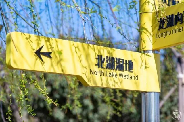 郑州周边免费景点，郑州最近免费旅游景点大全（不出郑州的8个赏花遛娃地）