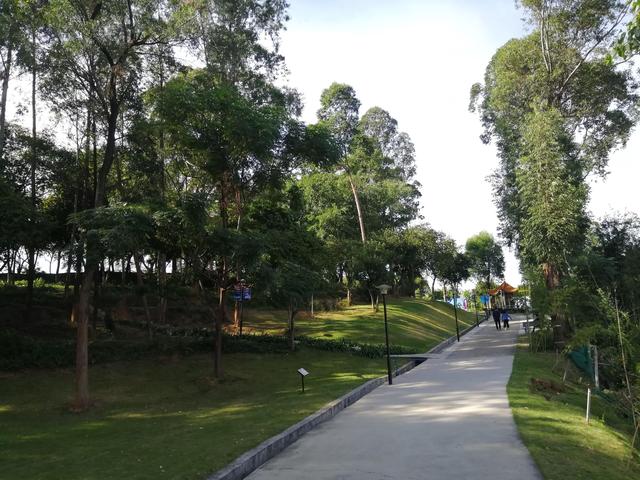 番禺化龙镇景区，快来pick你的“打卡点”吧