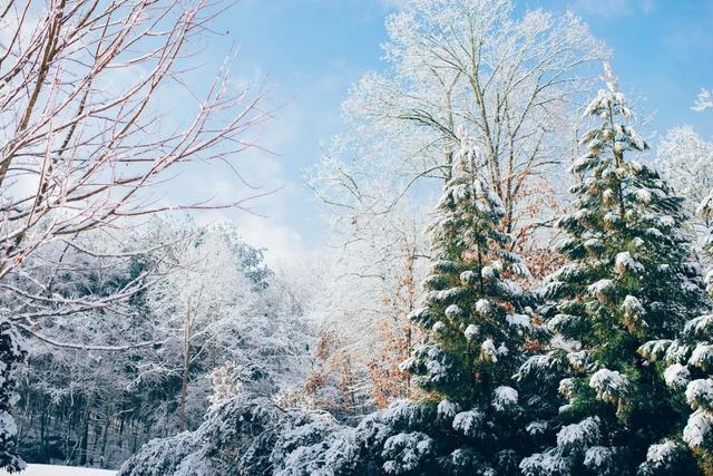 咏雪的诗词名句，这10首咏雪诗词