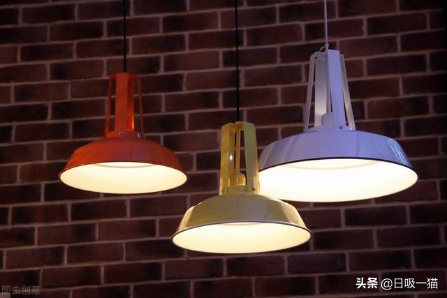 如何第一次给猫咪剪指甲，教你如何给猫咪剪指甲