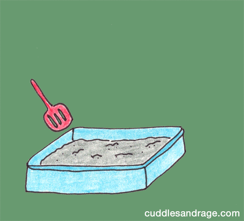 买猫砂盆哪种比较好，猫砂盆最全选购指南