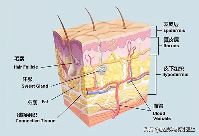 腋臭基因在哪里(腋臭基因在哪里检测)