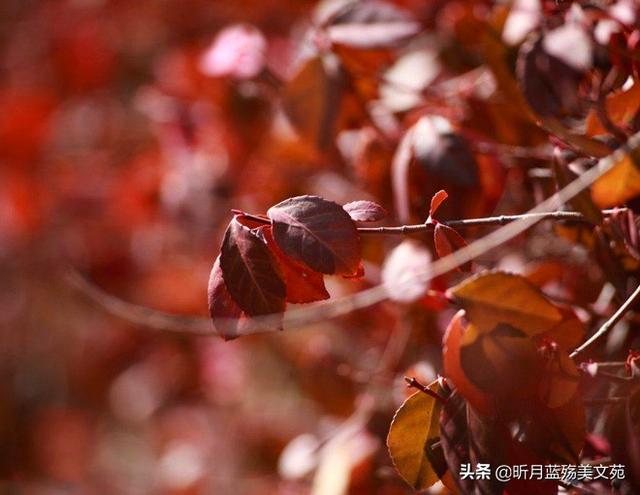 再也不会打扰你，余生再想念你也不会再打搅你（再想念也不要去打扰）