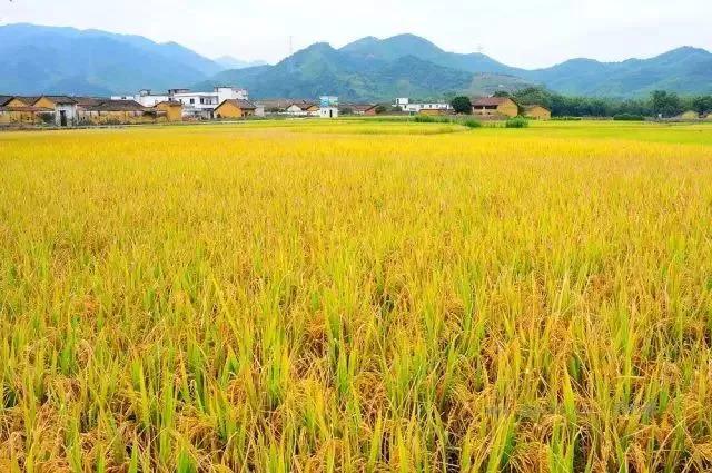 广东省清远市十大旅游景点排行榜，广东清远最美10大古村落