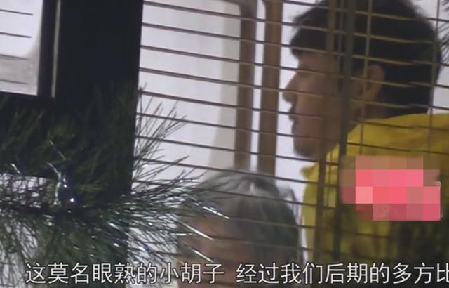 殷桃微博情史，殷桃绯闻男友身份被扒