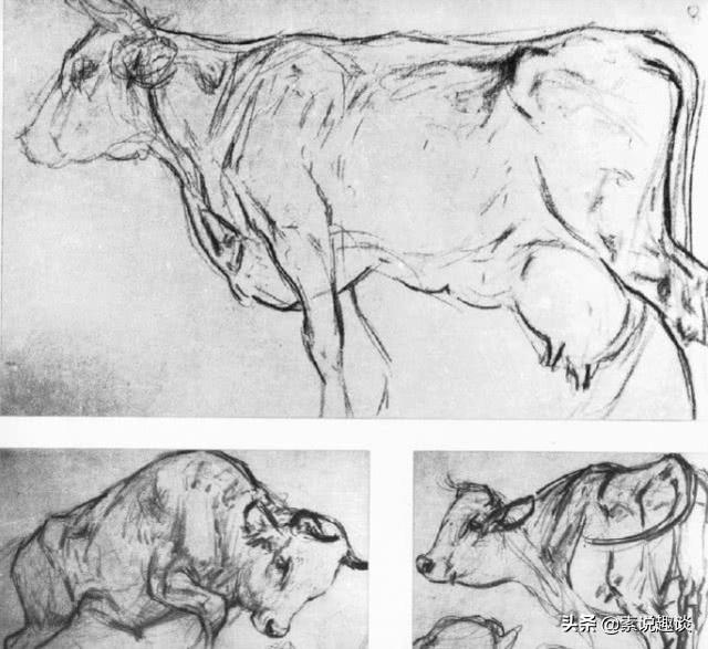 刘继卣画虎作品图，刘继卣珍贵绘画手稿