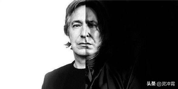 斯内普教授为什么讨厌哈利波特，《哈利波特》中的这一人