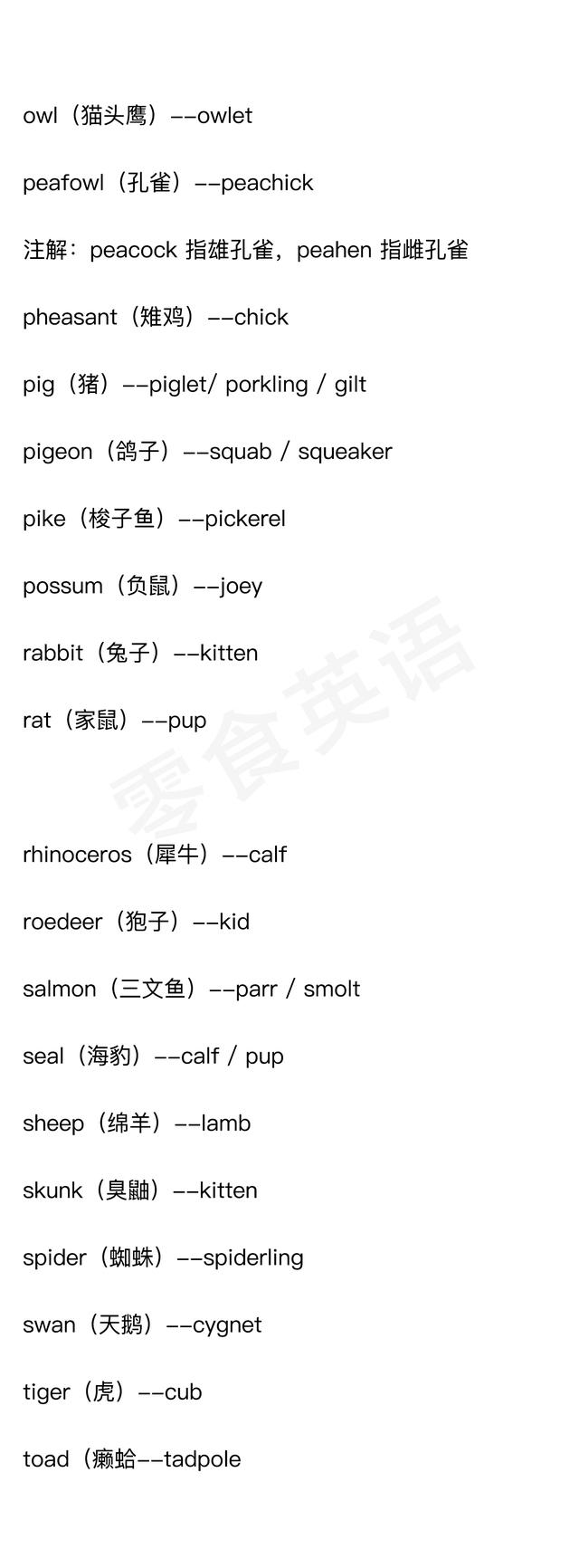 布偶猫的7种分类英文，狗的幼崽在英语里叫puppy