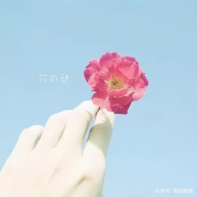 渐行渐远渐无书，成年人关系潜规则