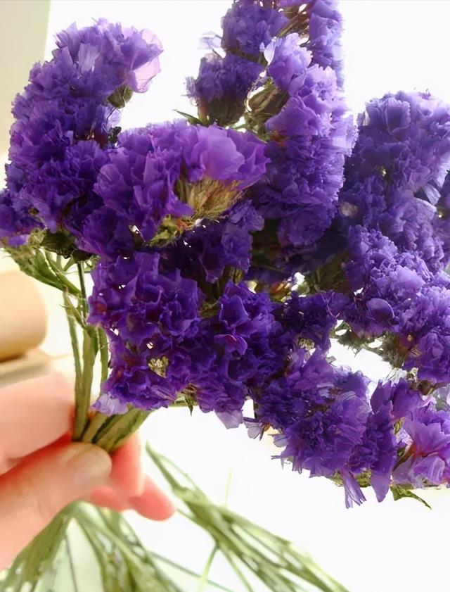 怎么制作干花的过程，快死的鲜花变文艺干花