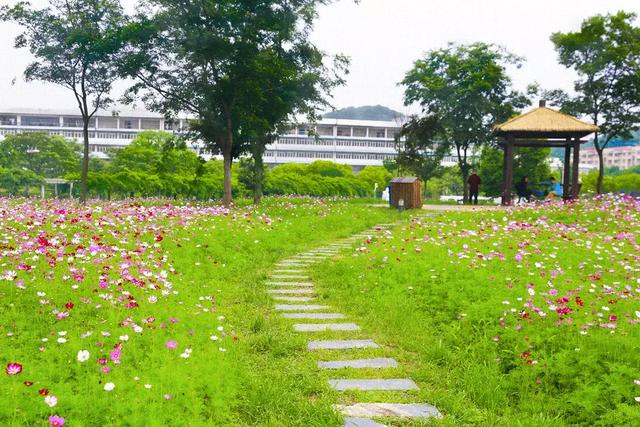 仙林大学生活动中心，聚集高校戏剧社团