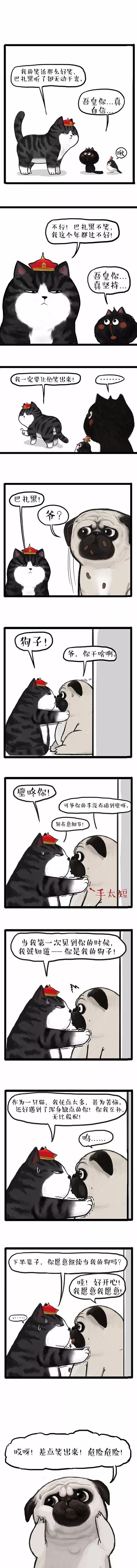 我从来不想让你失望漫画，下半辈子做我的狗