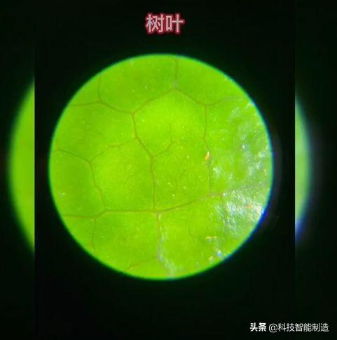 儿童科学探索显微镜，启发孩子科学探索思维