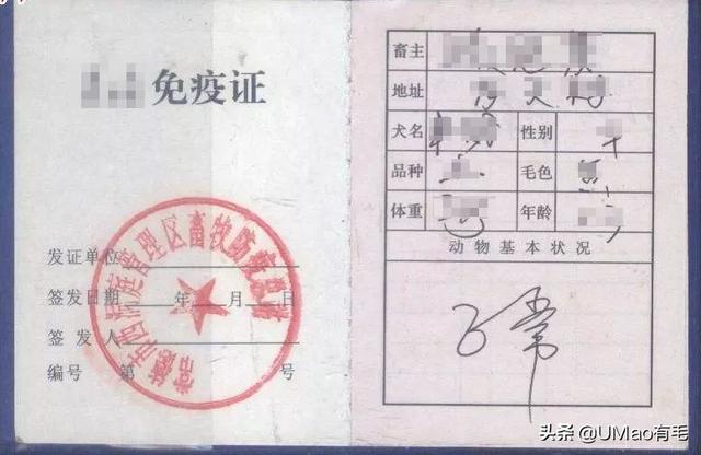 飞机托运猫咪流程，需要办理什么手续