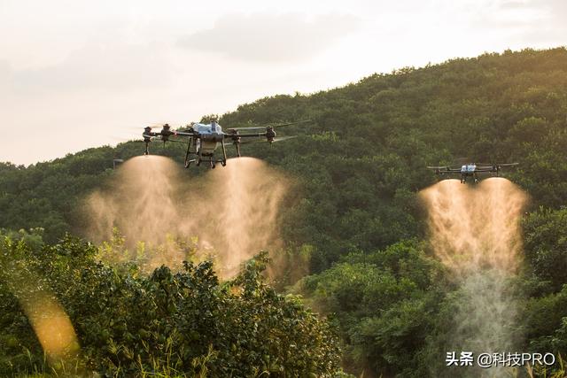 大疆植保无人机，大疆t40植保无人机高级校准（植保无人机在防治柑橘害虫中的应用研究）