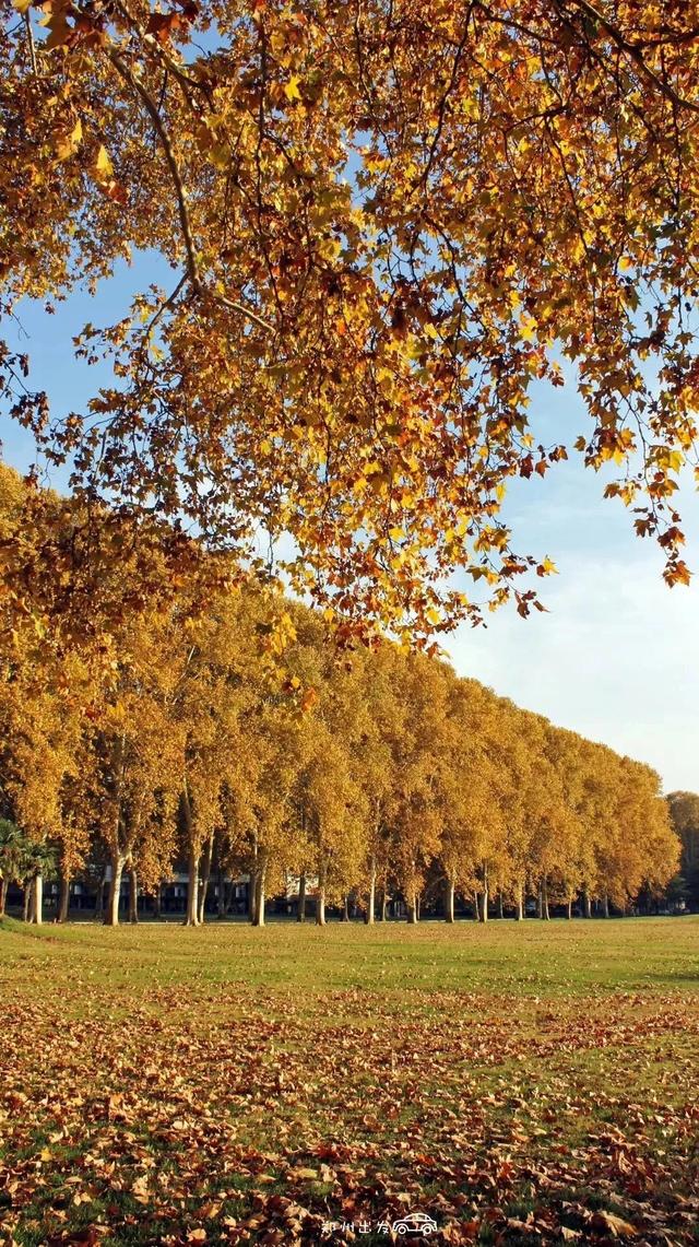 郑州周边免费景点，郑州最近免费旅游景点大全（不出郑州的8个赏花遛娃地）