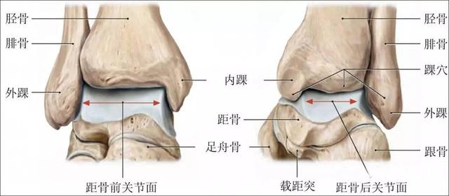 为什么总是习惯性崴脚，习惯性崴脚，做对四步即可