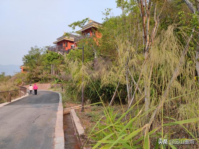 大理温泉哪里最好，大理古城温泉攻略（到大理洱源遇见冬日里的治愈烟火气）