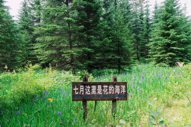 长白山十大避暑山，中华十大名山之一