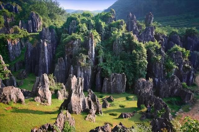 石林风景区图片，铜仁石林风景区（拥有全省最大的天然石林景观）