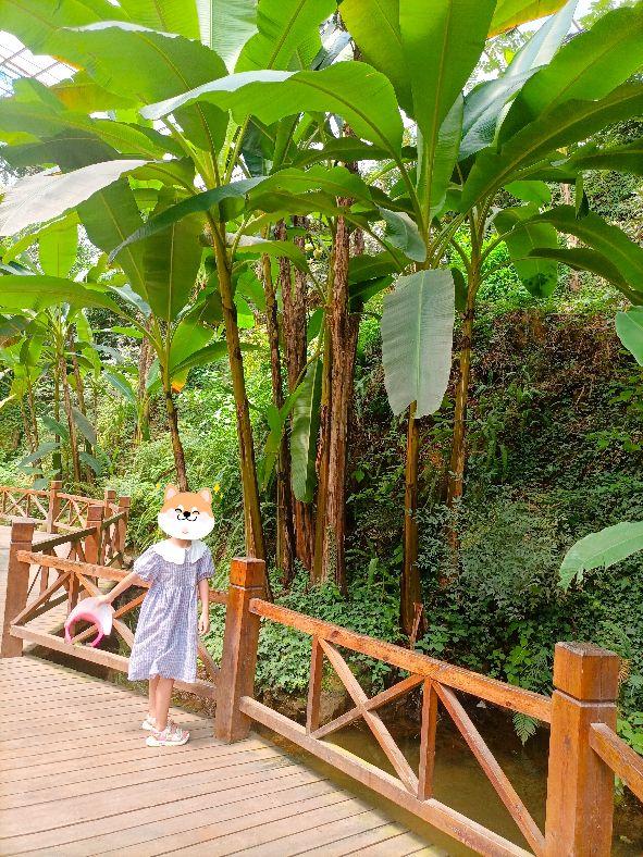 临沂地下大峡谷，临沂大峡谷适合旅游时间