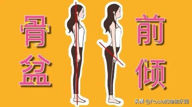 高圓圓超美竟有小肚子，如何快速瘦小腹？分清原因高效瘦 健身減肥達人 第5张