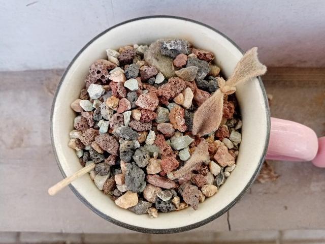 荣耀畅玩8a所有功能，荣耀首发畅玩8A：主打大音量