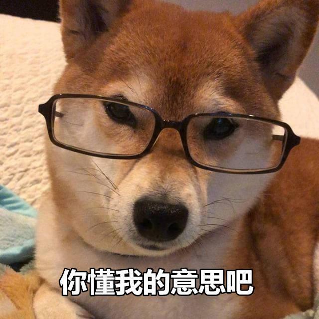 周冬雨小黄鸭合照，独家照片回顾百变周冬雨