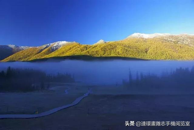 人体部位的成语，写人体部位的成语（有没有试过我们身体各部位用成语怎么形容）