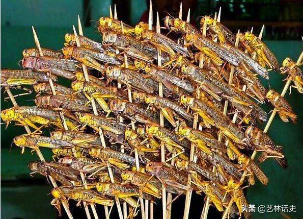蝗虫会造成蝗灾的主要原因，为什么会发生蝗灾