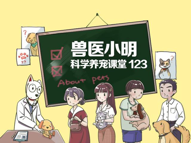 普通剪刀可以给狗狗剪指甲吗，给狗狗剪指甲只是为了避免被抓伤