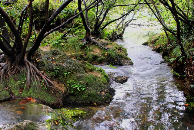 滁州西涧诗配画，滁州西涧诗词解析（几多闲情山水间——几组诗画欣赏）