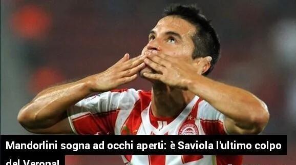 维奥拉的100座城堡中的维奥拉，萨维奥拉的故事停留在那个被风吹过的夏天