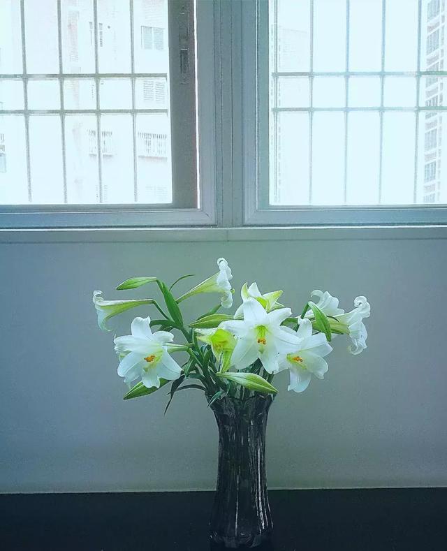 野草闲花逢春生，享受独处眼里有风景茶中无是非（野草闲花逢春生）