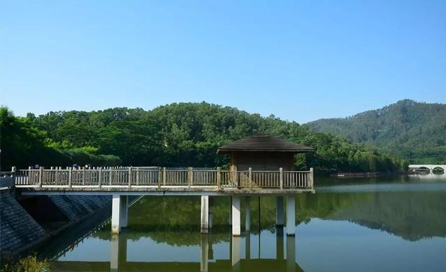 广州大夫山在哪，广州番禺-大夫山
